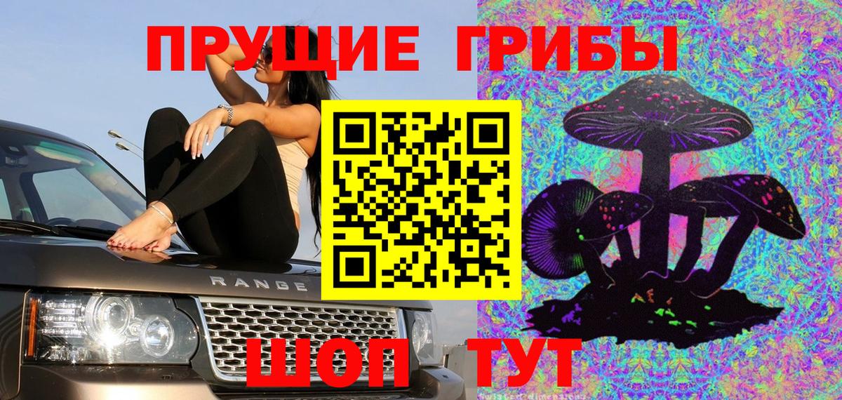 Кызыл  Псилоцибиновые грибы мицелий  Вход с VPN 
